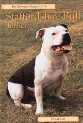 Guide to the Staffordshire Bull Terrier