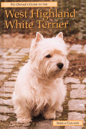 Guide to West Highland White Terrier