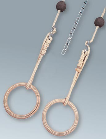 Gym and Swing Set for Gymnastics Halls