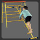 Gym Time Cat Ladder