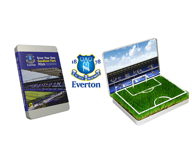 Unbranded GYO Football Pitch Everton