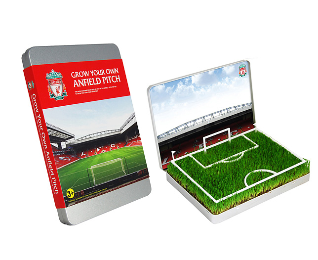 Unbranded GYO Football Pitch Liverpool