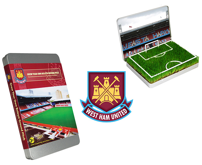 Unbranded GYO Football Pitch West Ham