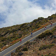 Unbranded Haleakala Sunrise Cycle Safari - Adult