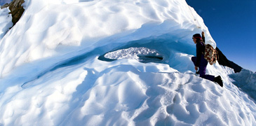 Unbranded Half Day Fox Glacier Walk