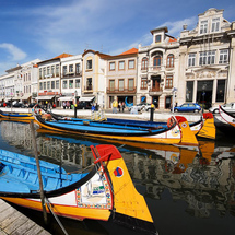 Unbranded Half Day Tour to Aveiro - Adult
