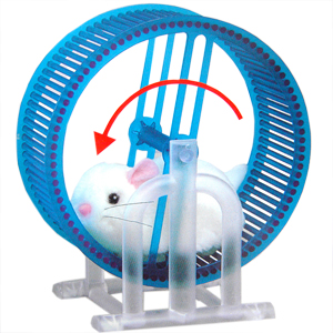 Unbranded Hamster Wheel Runner