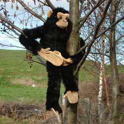 Unbranded Hanging Chimp