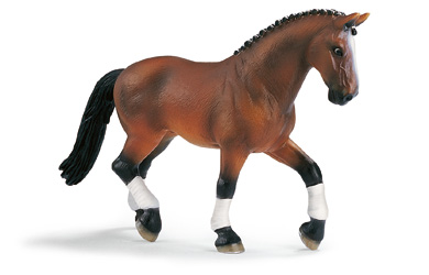 Unbranded Hanoverian Mare, Dressage