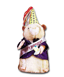 Happy Birthday Hamster