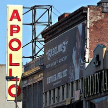 Unbranded Harlem on Sunday - Adult