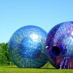 Unbranded Harness Sphereing for Two - Special Offer