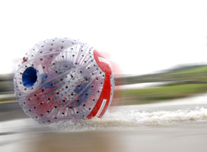 Unbranded Harness sphereingandreg; roll (for two)