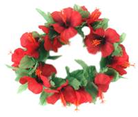 Headband Hibiscus Assorted Colours