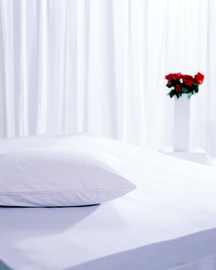 HealthGuard Natural Pillow