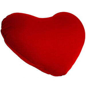 Heart Cushtie Cushion Pillow