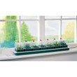 This compact seed raising heated propagator is a complete nursery in itself and ideal for the garden
