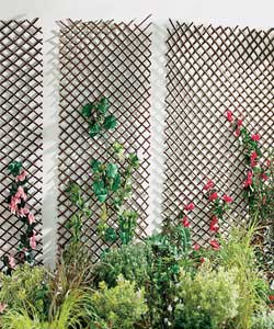 Heavy Duty EXP Trellis 1.8 x 0.3m