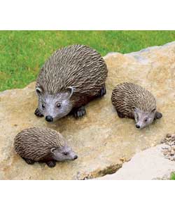 Hedgehog Family