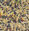 Hedgerow bird seed containing juniper, maize, pinhead oats, split peas, rose hips, black sunflowers,