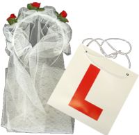 Unbranded Hen Party: Learner Plate and Veil