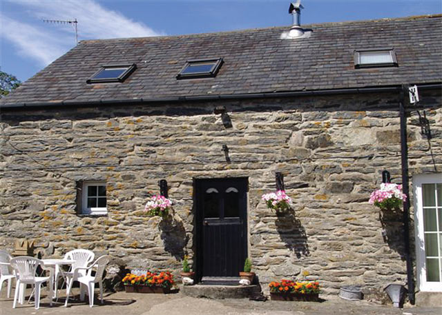 Unbranded Hen Stablau