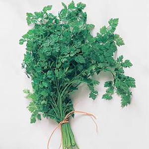 Unbranded Herb Chervil Seeds
