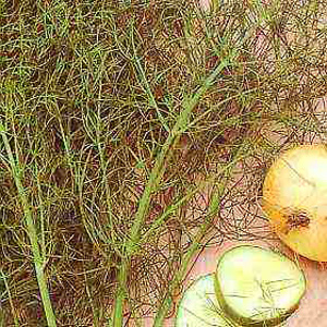 A delicious sweet and delicate aniseed flavour  great in salads and with fish to counteract oiliness