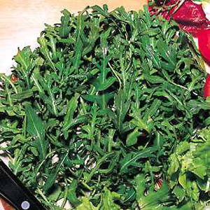 Unbranded Herb Rocket Wild Seeds