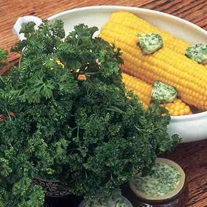 Unbranded Herbs Parsley Envy Seeds