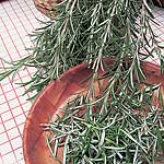 Unbranded Herbs: Rosemary Seeds