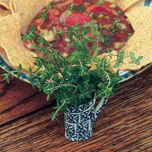 Unbranded Herbs Thyme Common Seeds