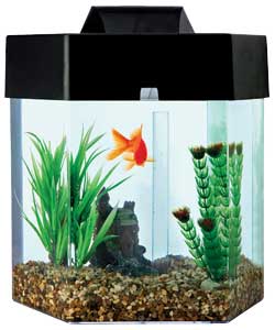 This starter kit comprises a 14 litre tank with hood. Base includes air pump, airline, non return va