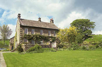 Unbranded Higher Lee