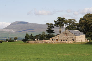 Unbranded Hill Farm Barn