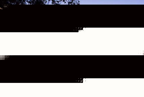 Unbranded Hilton Ft. Lauderdale Airport