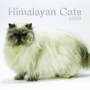 Himalayan Cats 2006 calendar
