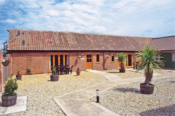 Unbranded Holly Berry