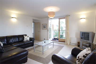 Unbranded Holly Oaks