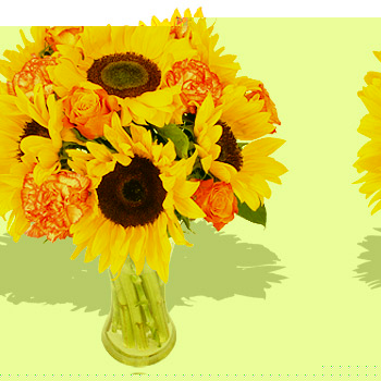 Unbranded Honey Comb - flowers