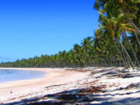 Unbranded Honeymoon in Brazil