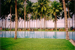 Unbranded Honeymoon to Sri Lanka