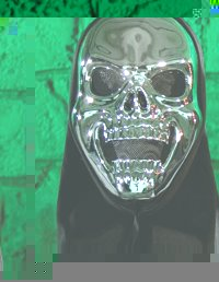 Unbranded Horror Mask - Metallic Silver Skull Mask with Hood