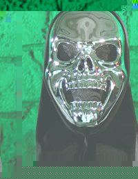 Unbranded Horror Mask - Metallic Silver Skull Mask with Hood