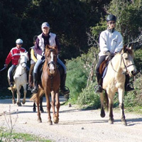 Unbranded Horse Riding from Bodrum - Adult