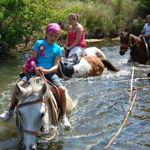 Unbranded Horse Safari from Kusadasi - Adult