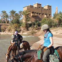Unbranded Horse Trek in the Silent Upper Valleys - Adult