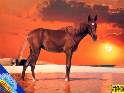 Cardboard jigsaw puzzle