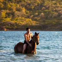 Unbranded Horseback Ride n Swim Ocho Rios - Adult