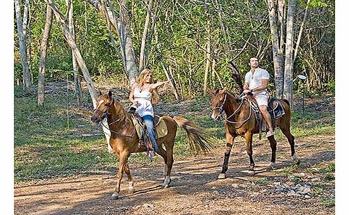 Unbranded Horseback Riding In The Jungle - Cancun